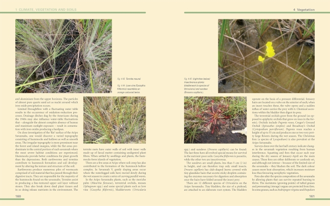 School Textbook Unit 2 image