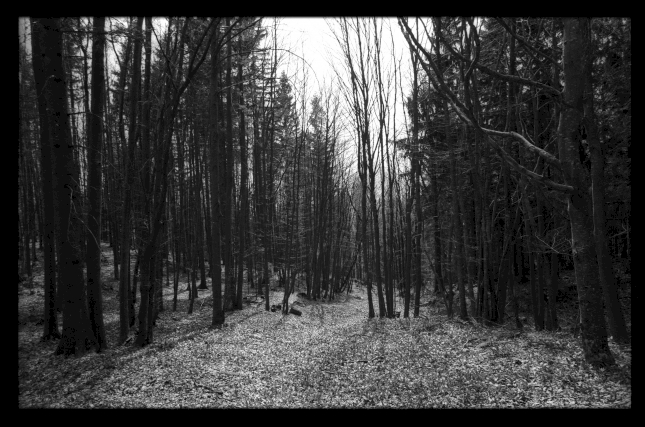 Kajetan Kovič image