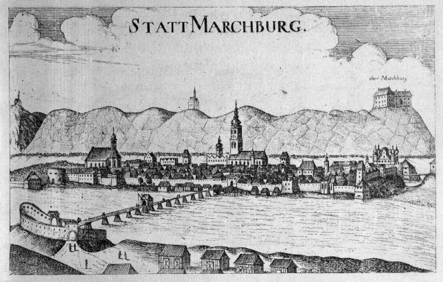 Aleš Šteger image