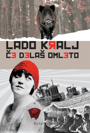 Lado Kralj 2 image