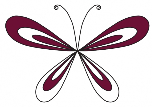 Pascal Bruckner image