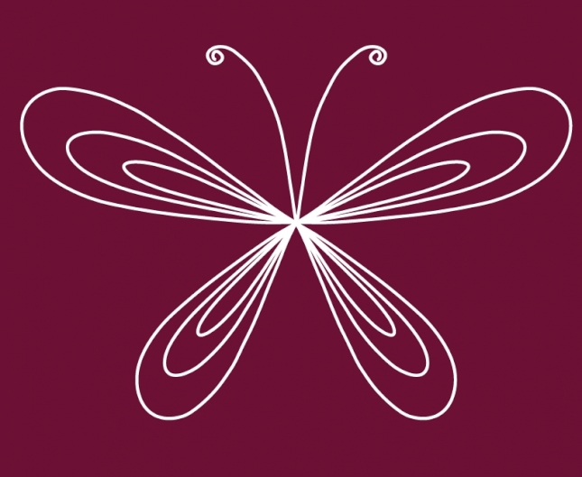 Pascal Bruckner image