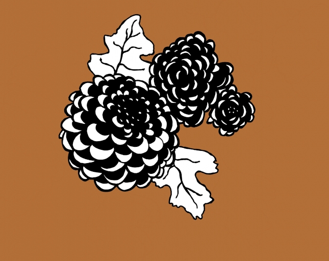 Stanka Hrastelj image