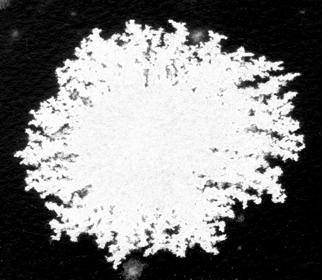 Beletrina 200 image
