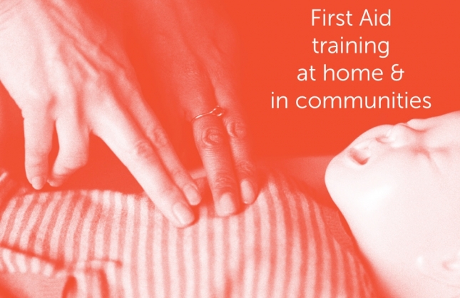 Family First Aiders image