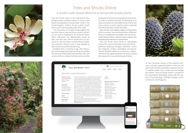 Trees and Shrubs image